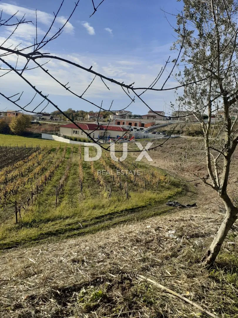 istra, vižinada - građevinsko zemljište prekrasnog pogleda - slika 6