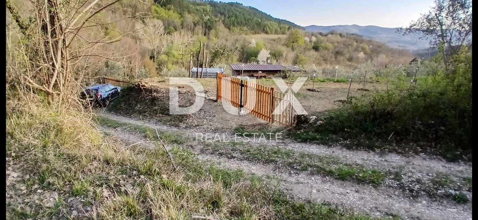 istra, cerovlje, grimalda – maslinik među brežuljcima, 280 stabala na 2,4 ha - slika 14