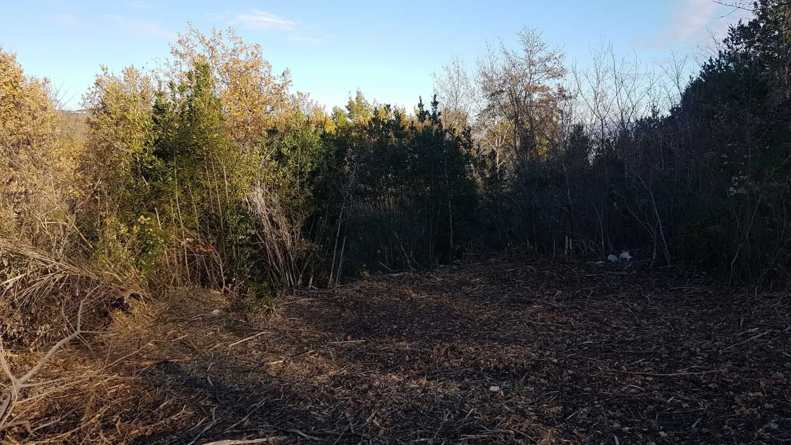istra, vižinada - prostrano građevinsko zemljište na osami s panoramskim pogledom - slika 29