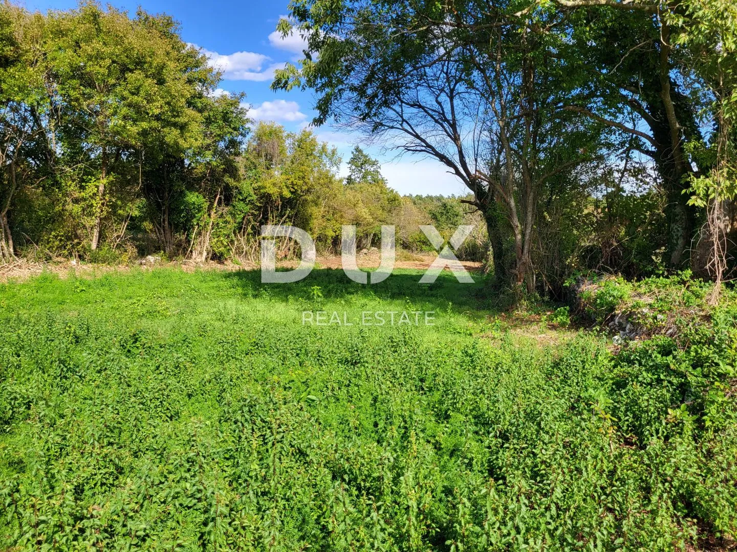 istra, barban - zemljište s građevinskom dozvolom - slika 6