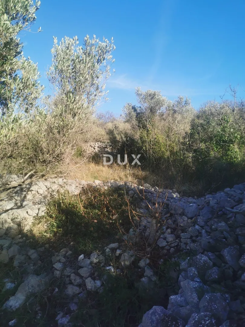 otok krk, punat - poljoprivredno zemljište - slika 3