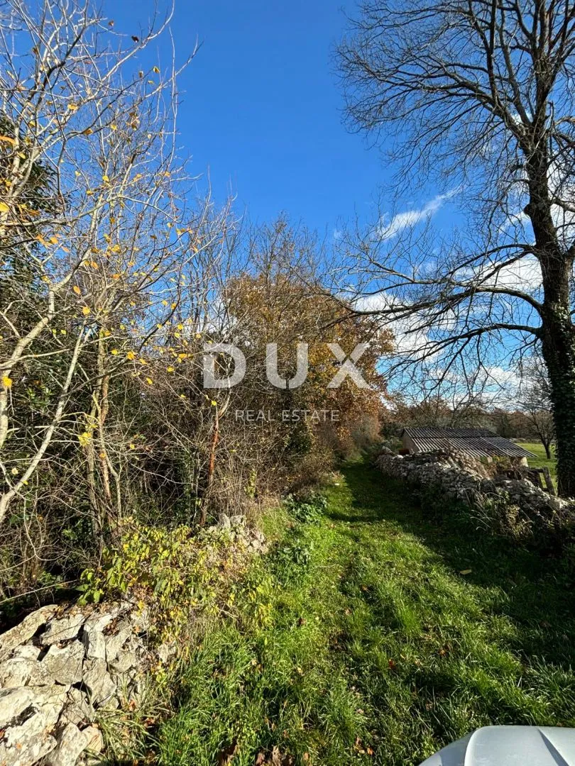istra, višnjan - kaskadni teren za više vila! - slika 5