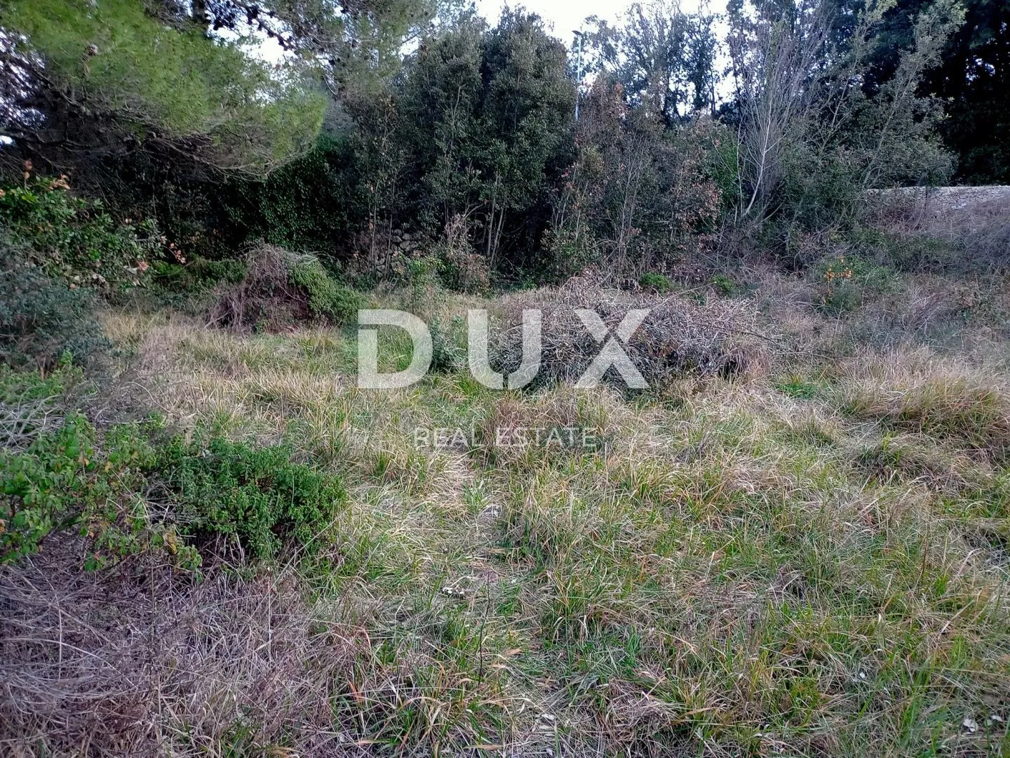 otok pašman, ždrelac - građevinsko zemljište 150 m od mora - slika 4