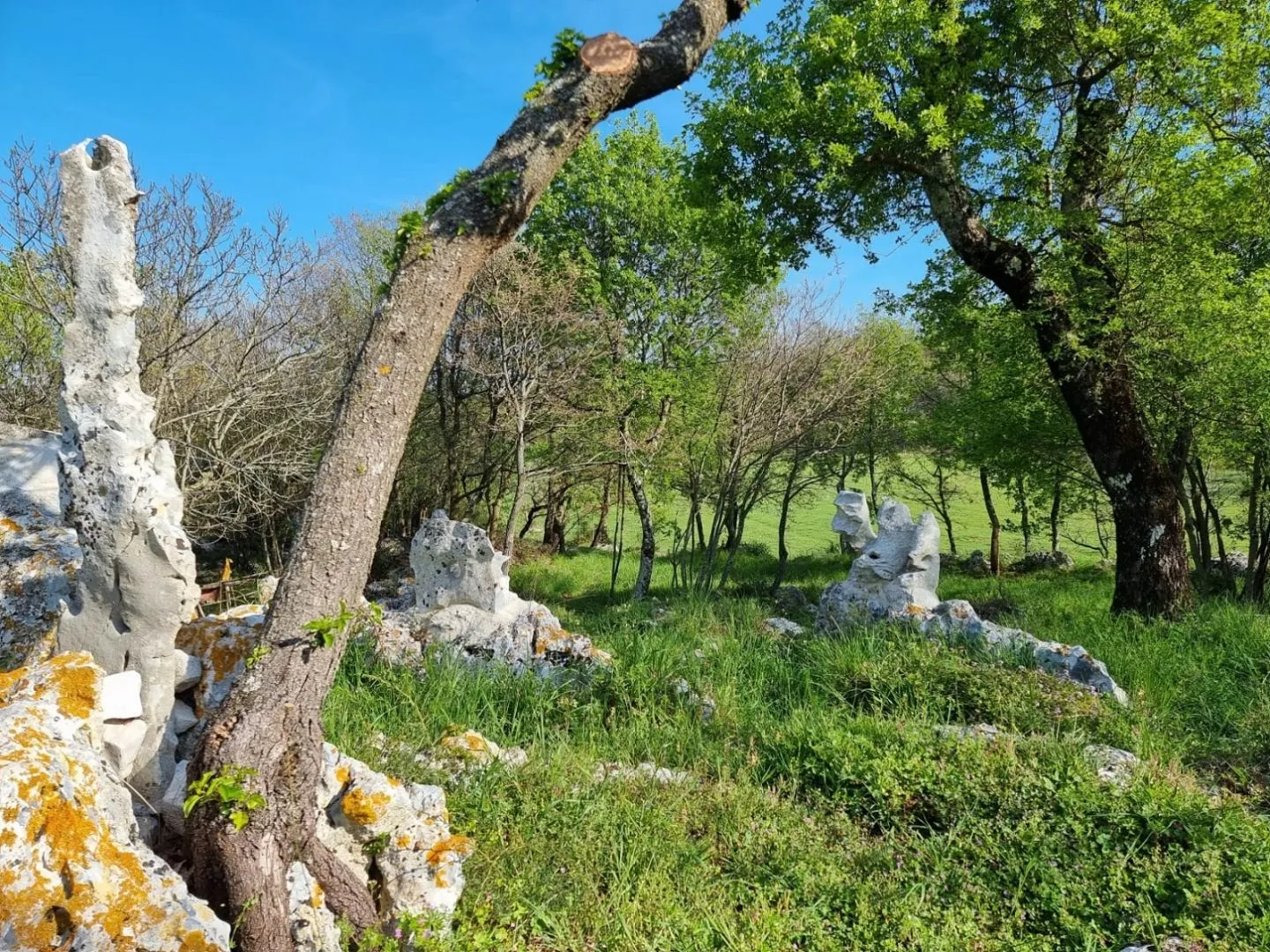 istra, rabac - prostrano imanje na očaravajućoj lokaciji - slika 20