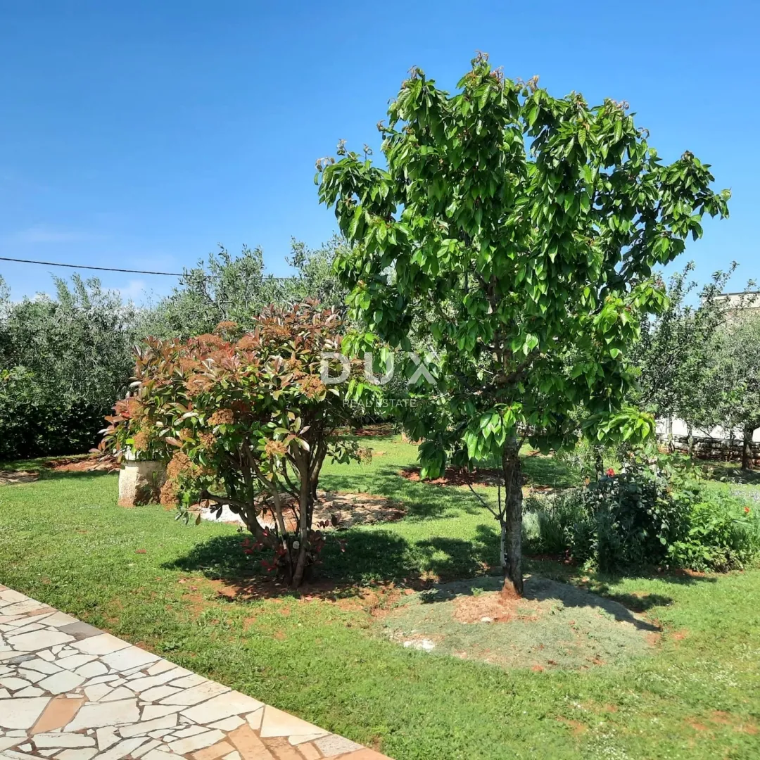 istra, kavran, kuća, 155 m2, 2 stambene jedinice, 1243 m2 dvorište - slika 7