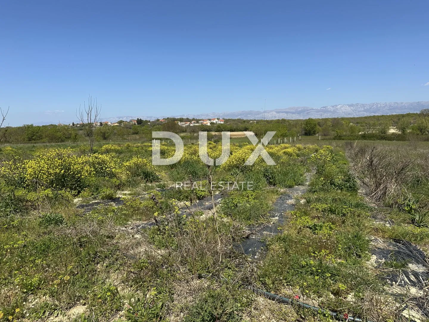 zadar, murvica - poljoprivredno zemljište s potencijalom - 3000m² - slika 6