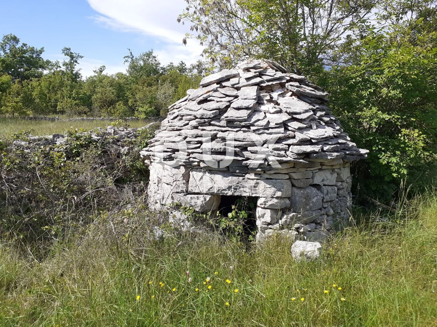ISTRA, SVETVINČENAT - Poljoprivredno zemljište 24600 m2 - Režanci, Svetvinčenat