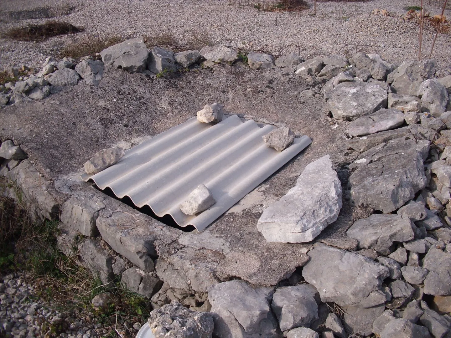 otok krk, punat - maslinik na 3620 m2 - slika 8
