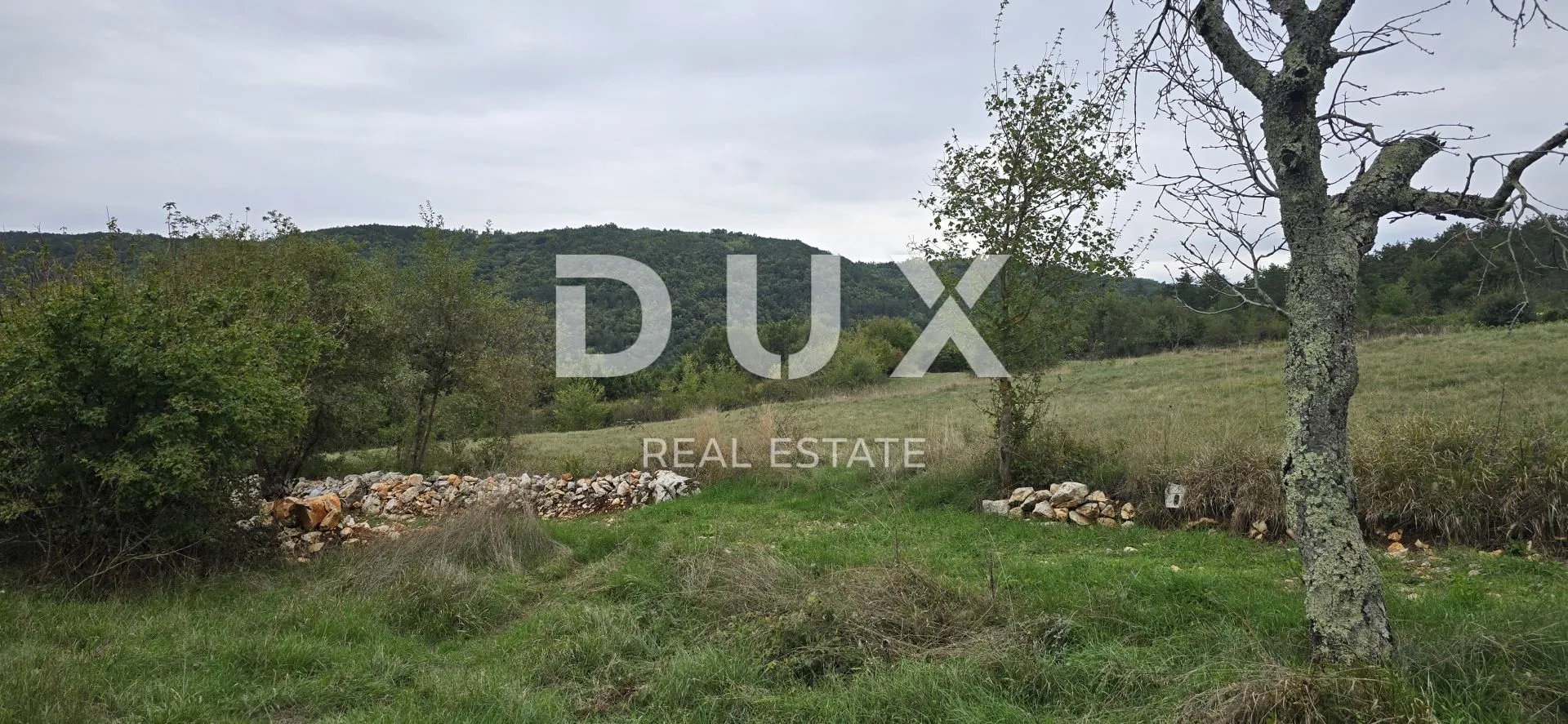istra,grožnjan - građevinsko zemljište s panoramskim pogledom - slika 14