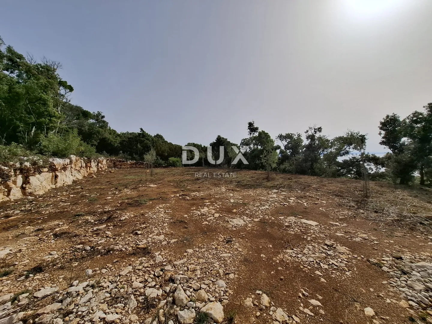 istra, kavran, zemljište, 500 m2, 50 m od mora - slika 4