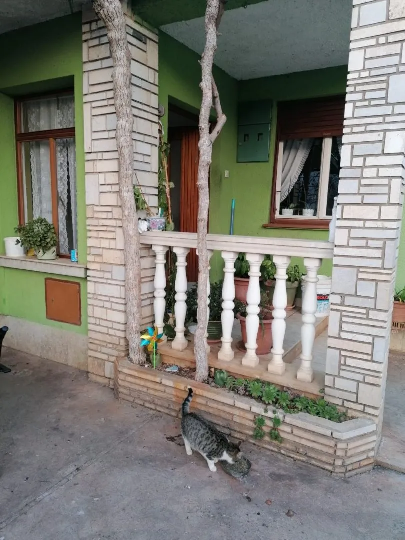 istra,fažana- obiteljska kuća 150m od mora! - slika 15