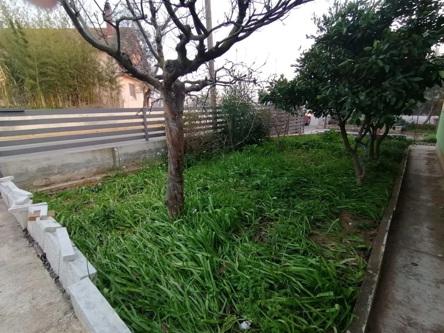 istra,fažana- obiteljska kuća 150m od mora! - slika 3
