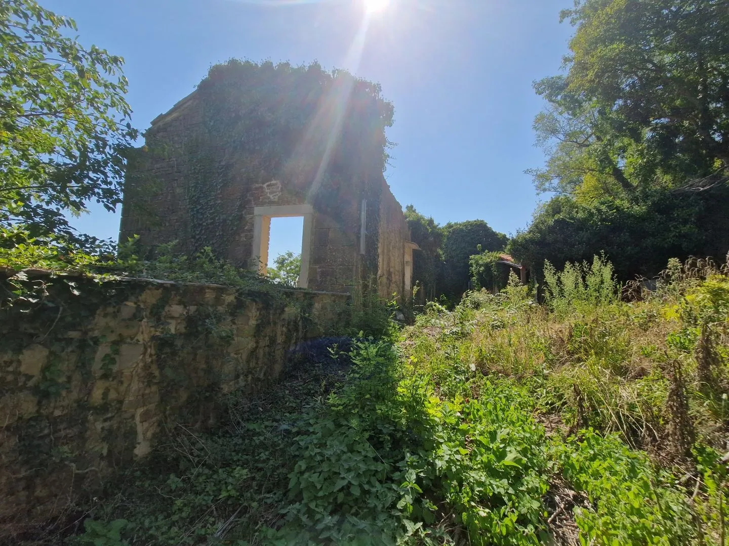 istra, oprtalj - kamena starina s panoramskim pogledom na zelenilo - slika 10