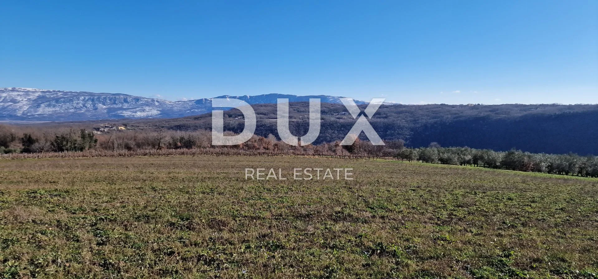 istra, labin, pićan - potpuna osama i prekrasan pogled!! građevinsko zemljište 750m2 i poljoprivredno 692 m2 - slika 5