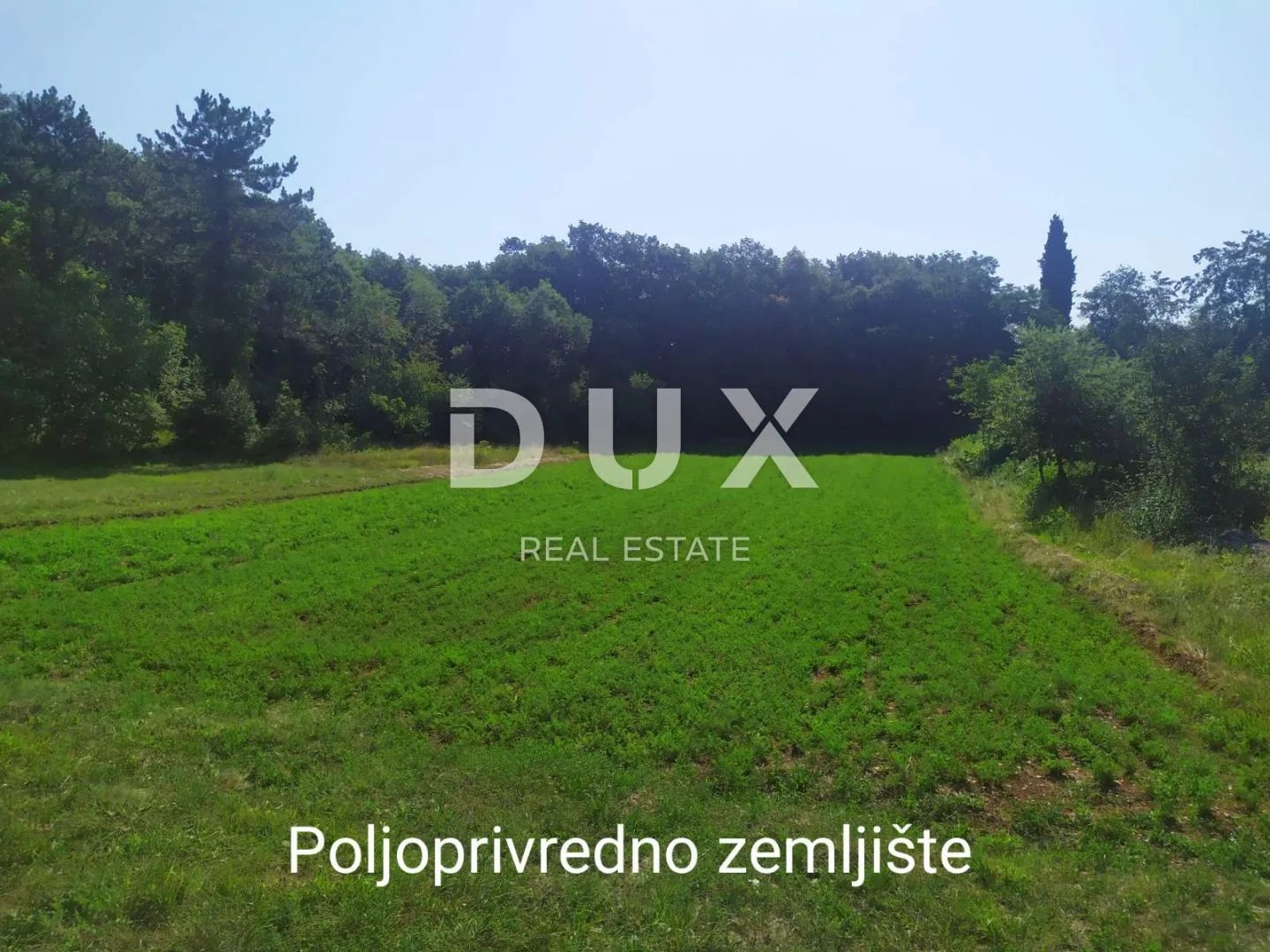 istra, poreč, tinjan - atraktivni građevinski teren 2269 m2 - slika 3