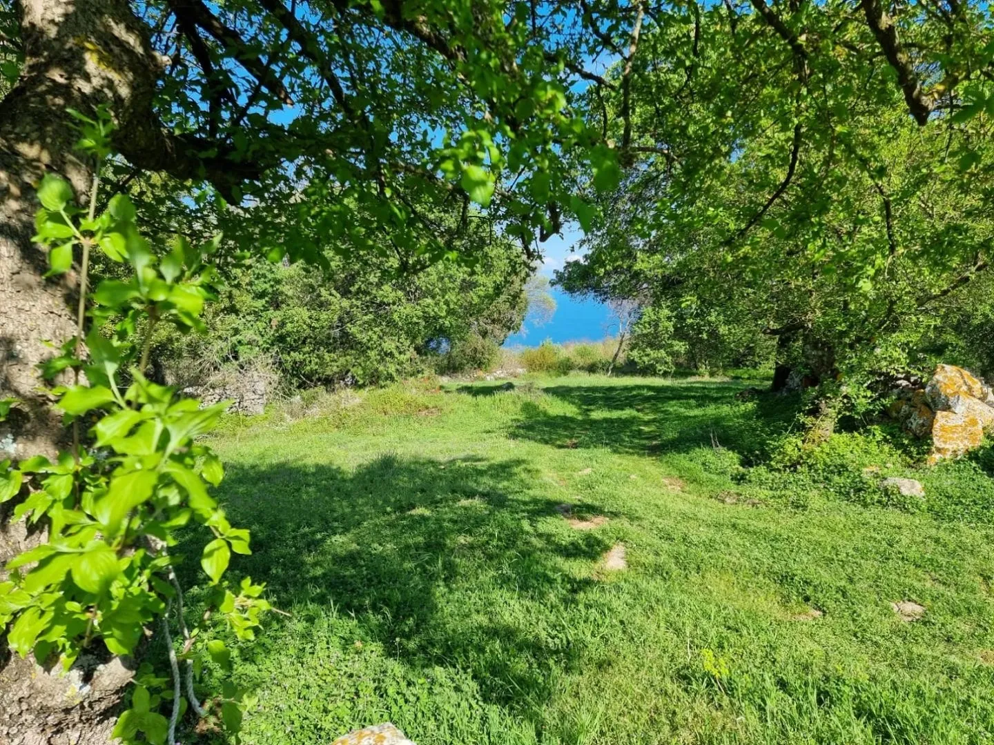 istra, rabac - prostrano imanje na očaravajućoj lokaciji - slika 4