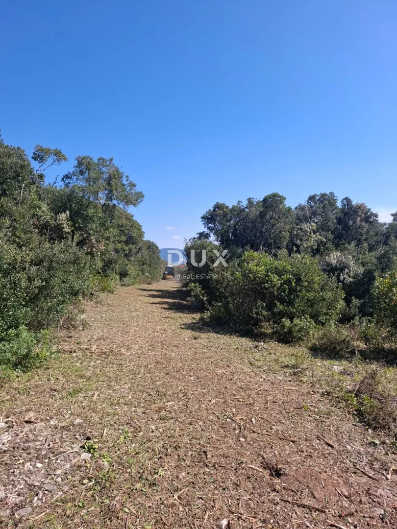 krnica, pavićini, vikend zemljište, 550m2, 800m od mora - slika 2