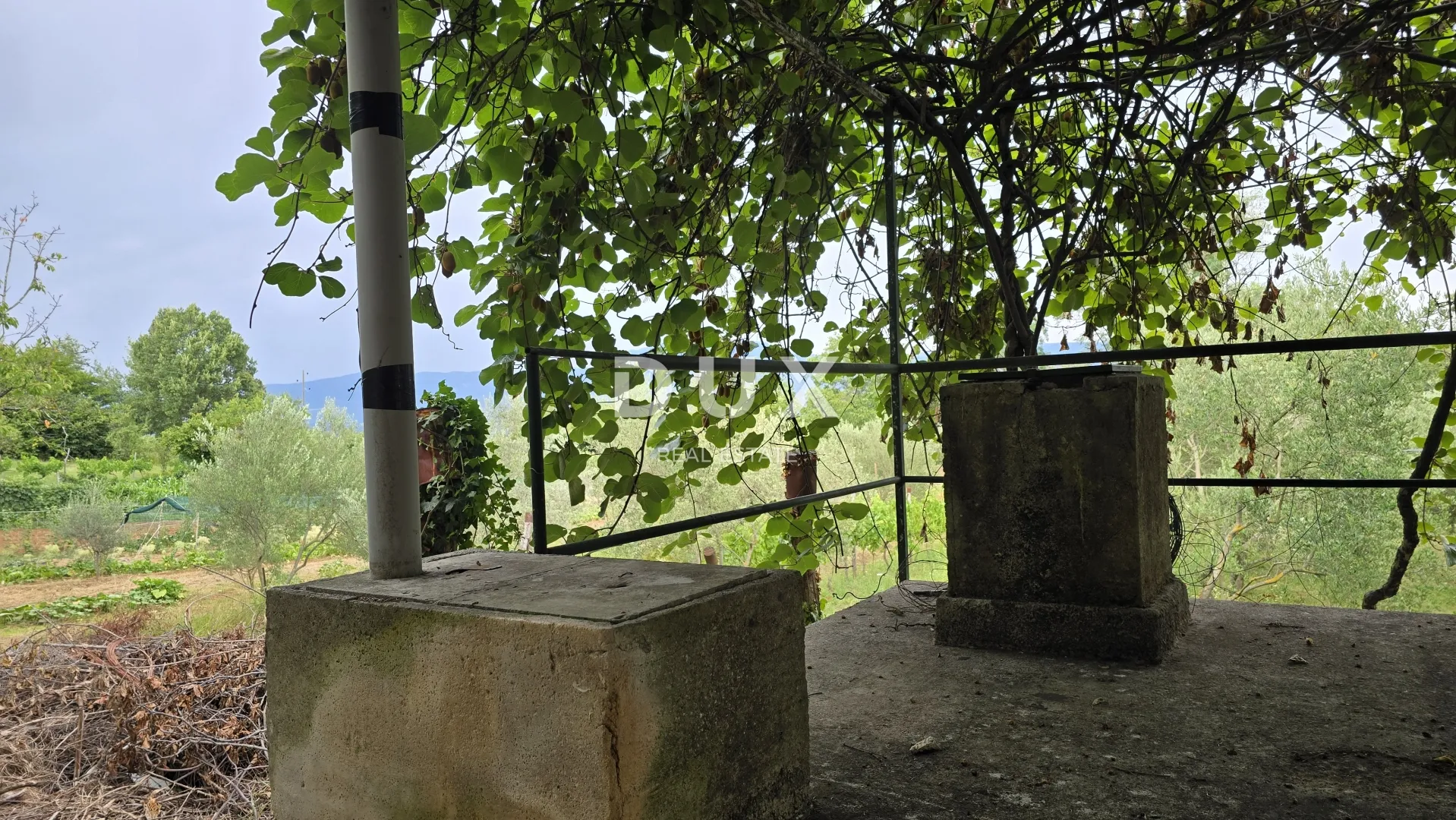 istra, labin – kućica u prirodi, potpuna osama s velikom okućnicom - slika 14