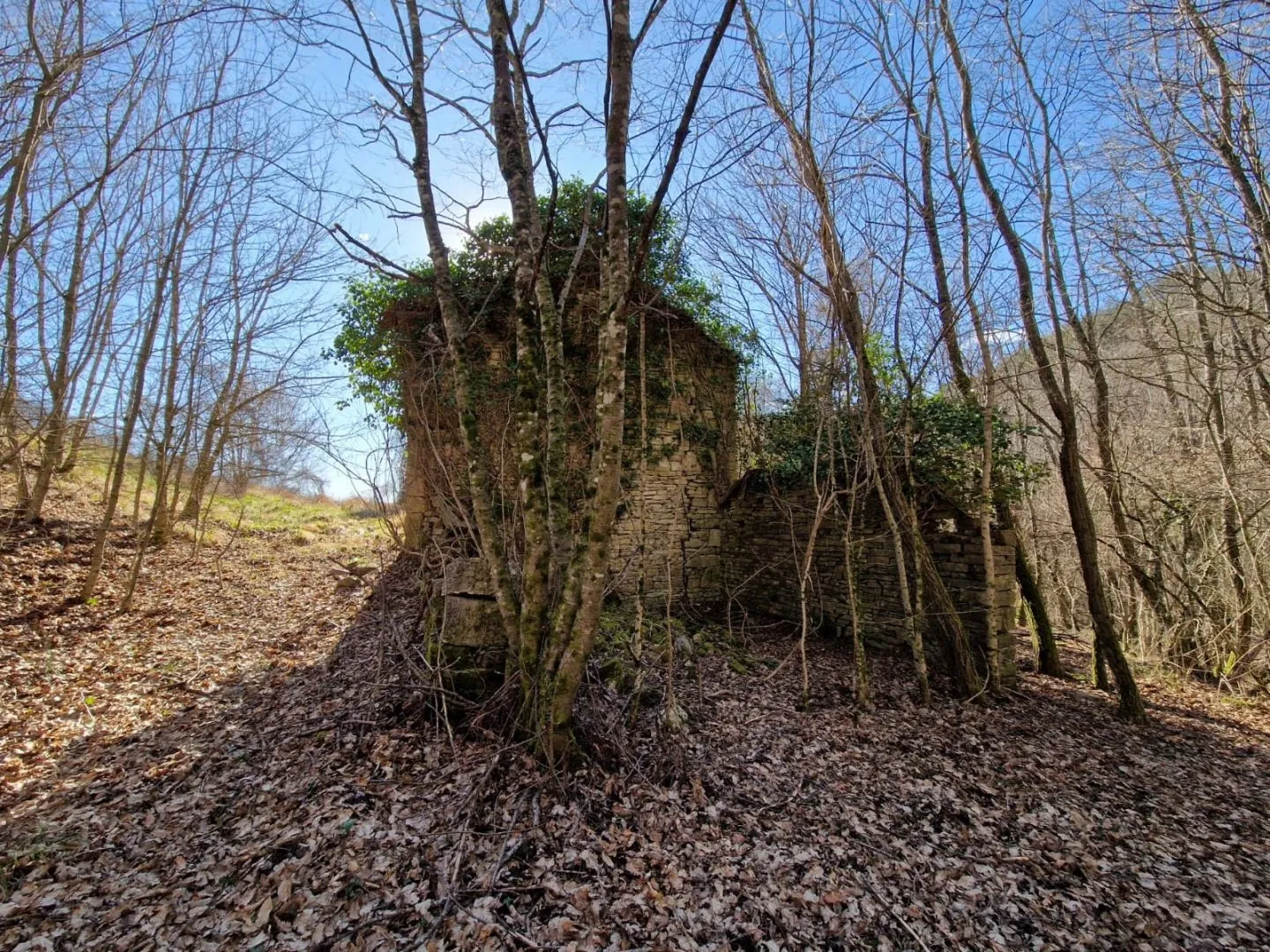 istra, pazin - imanje za obnovu - slika 31