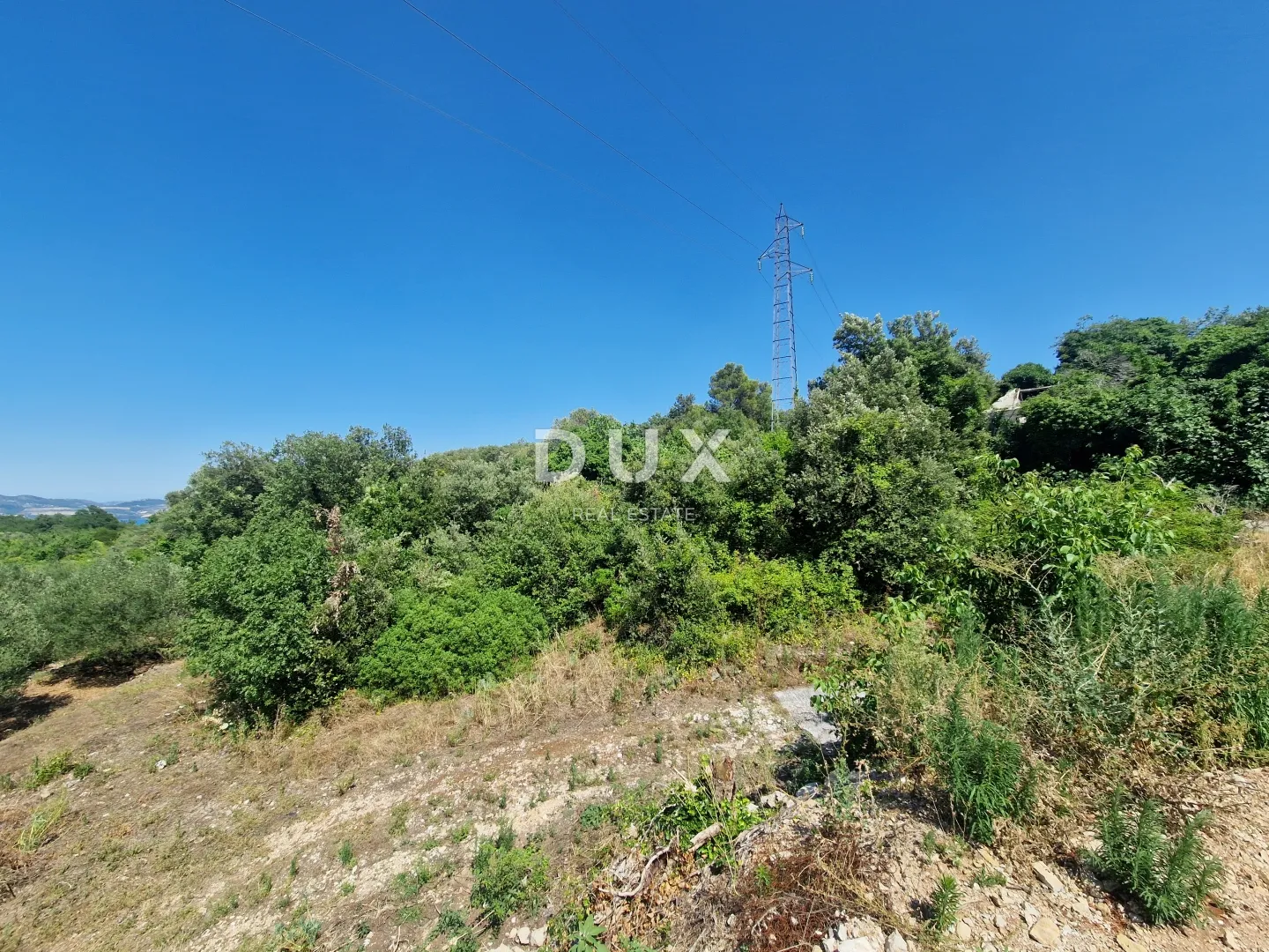 pelješac, popova luka, poljoprivredno zemljište 190.000m² - slika 11