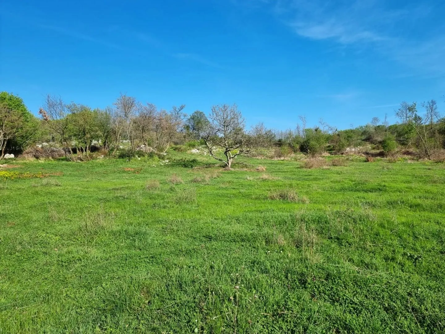 istra, rabac - prostrano imanje na očaravajućoj lokaciji - slika 29