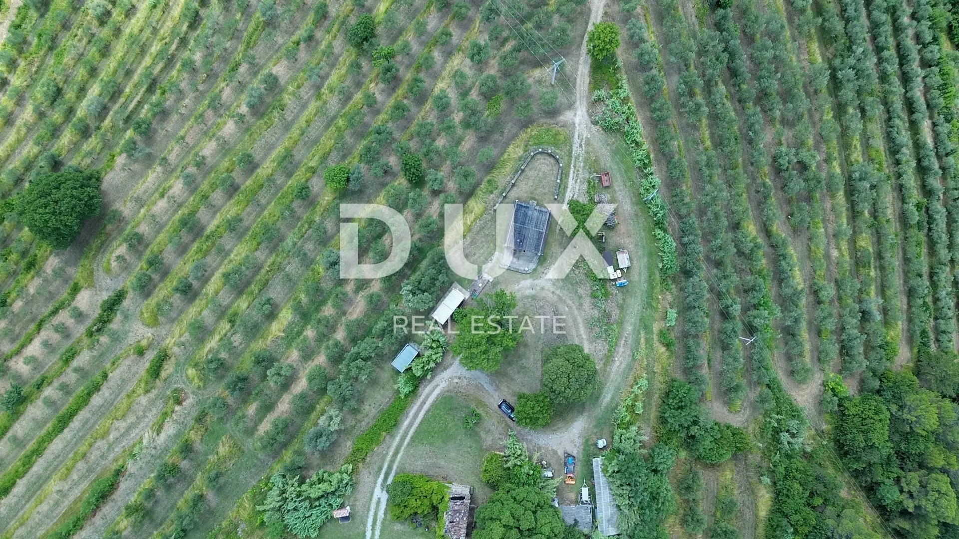 istra, motovun, imanje, 170.416 m2 - slika 8