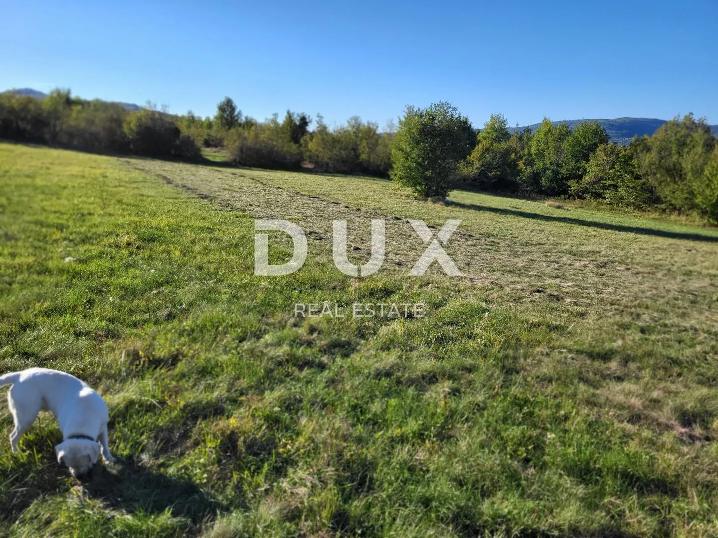 istra, motovun - kompleks građevinskog i poljoprivrednog zemljišta s pogledom na motovun - slika 4