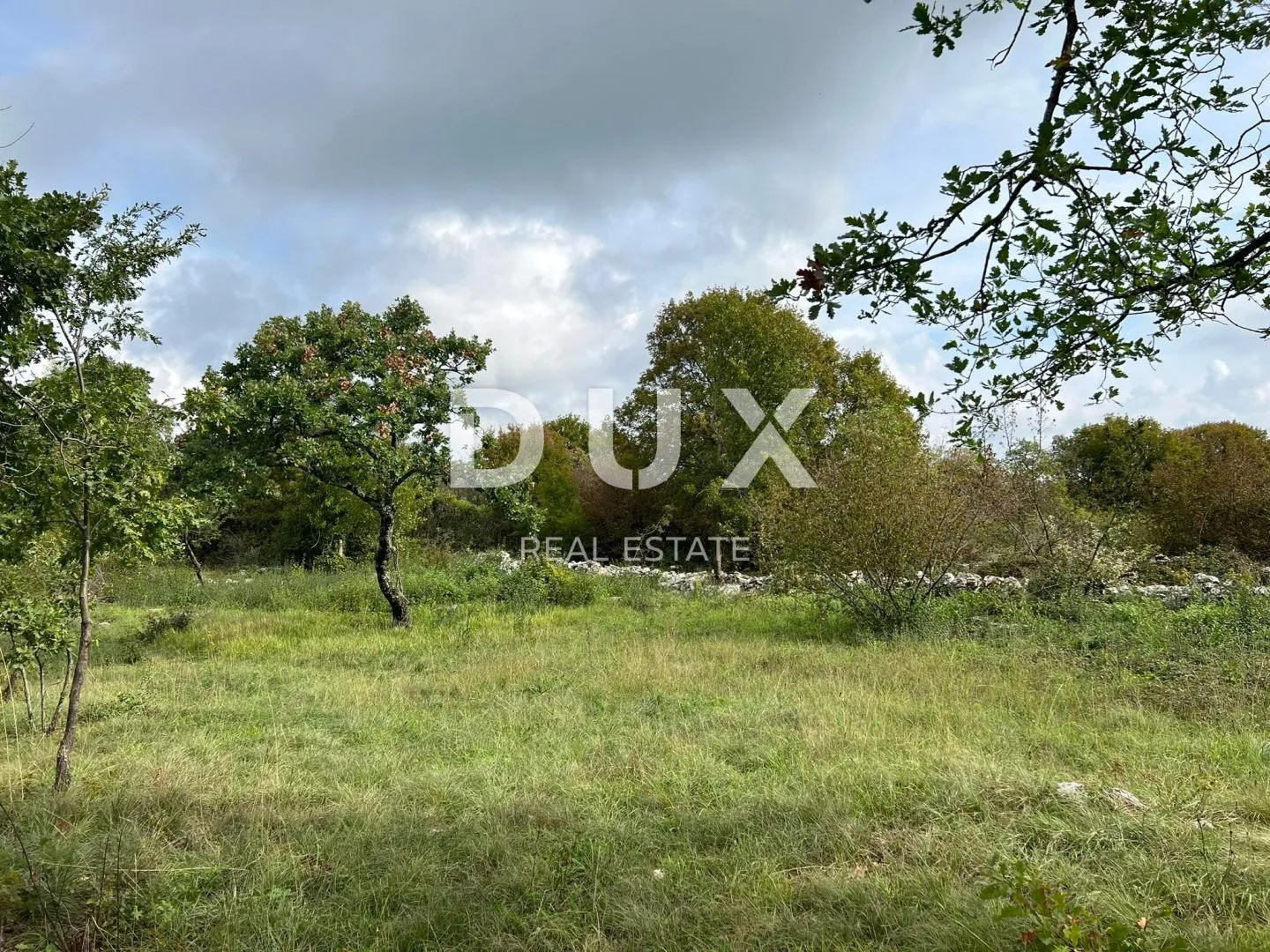 istra,barban - imanje s dva objekta za renovaciju - slika 3