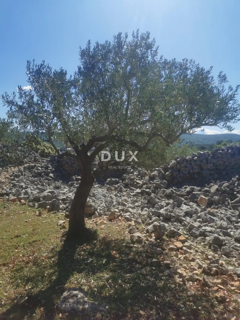otok krk, grad krk - maslinik na atraktivnoj lokaciji - slika 8
