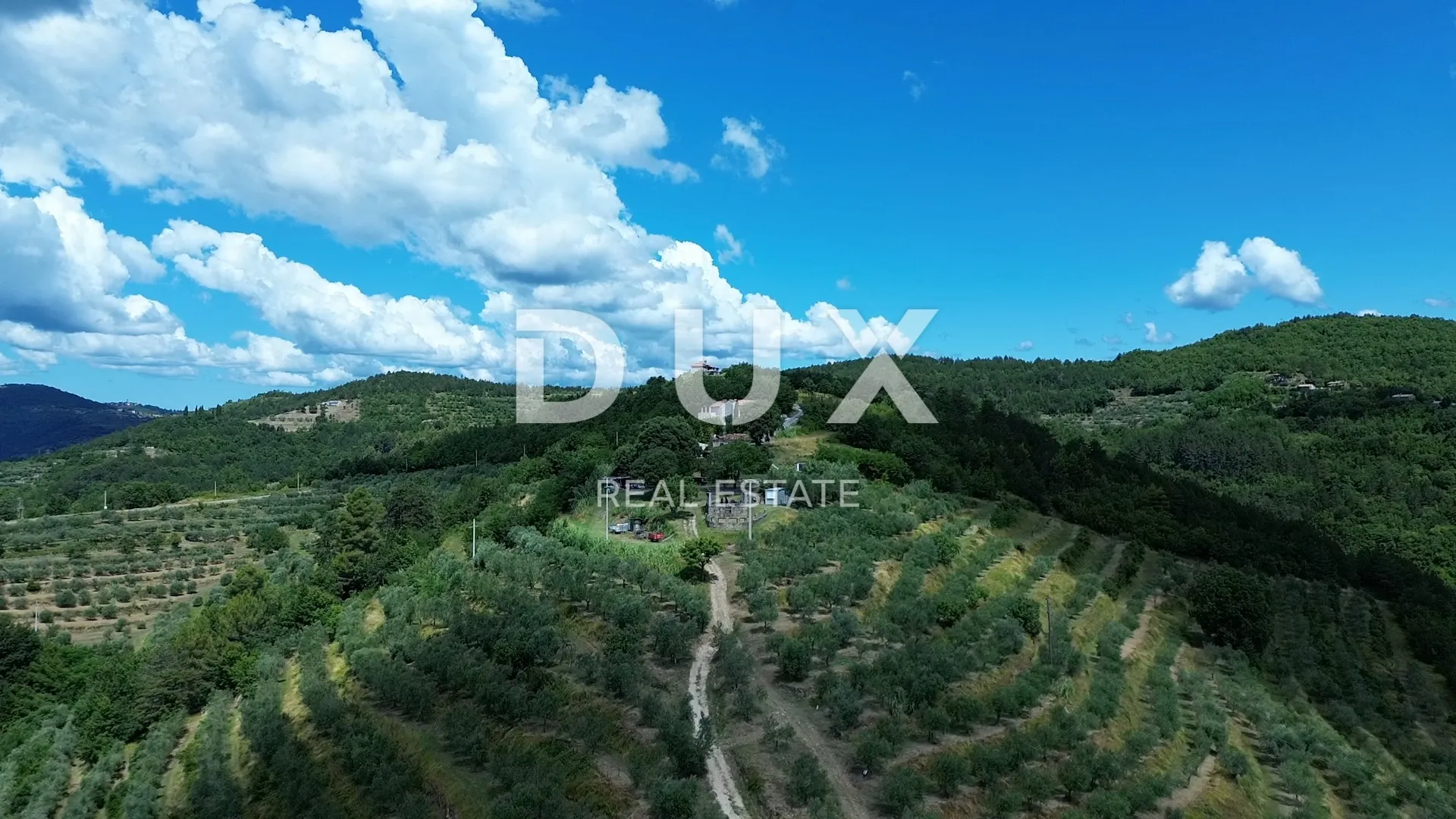 istra, motovun, imanje, 170.416 m2 - slika 15