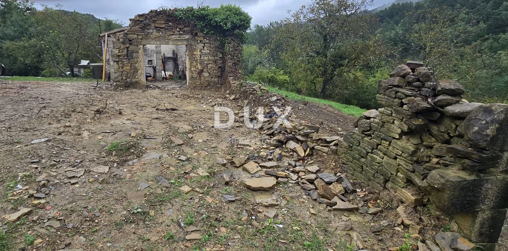 ISTRA, SOVINJAK - RUŠEVINA + ZEMLJIŠTE 57.356 m2 - Sovinjak, Buzet