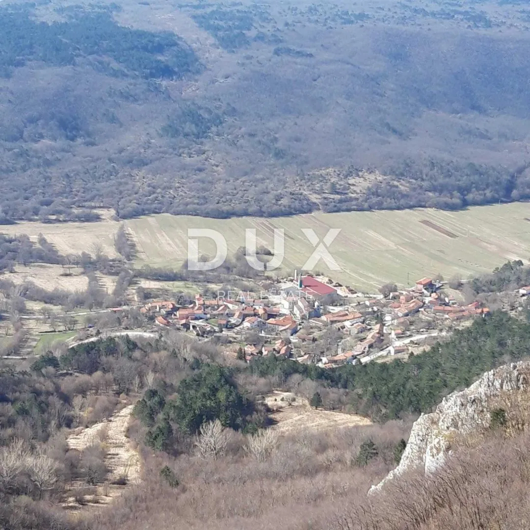 ISTRA, ĆIĆARIJA - Šuma za sijeću - Lanišće