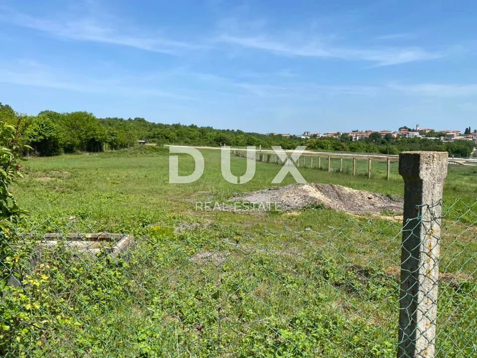 ISTRA, NOVIGRAD (OKOLICA) - Poljoprivredno zemljište na odličnoj lokaciji