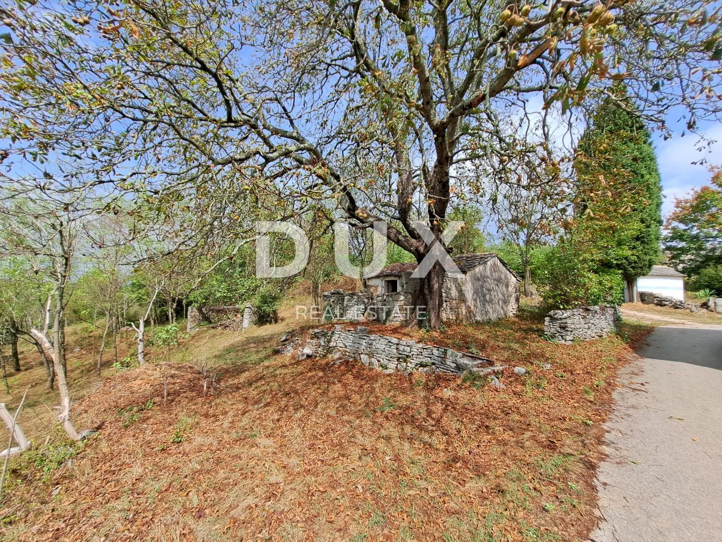 istra, grožnjan, okolica - starina za adaptaciju na odličnoj lokaciji - slika 16