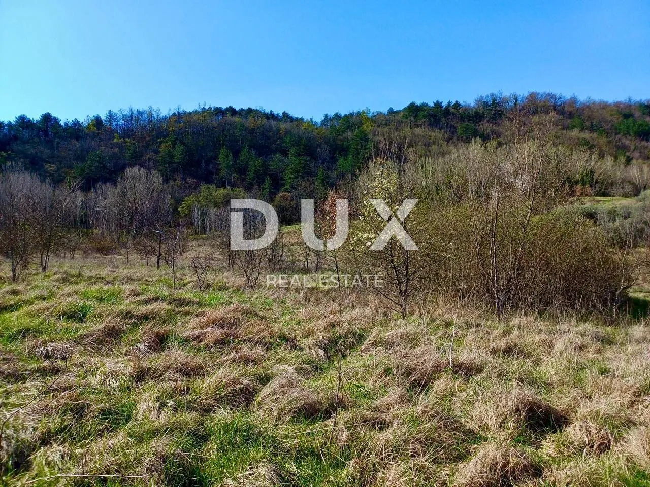 buzet, istra - poljoprivredno zemljište - slika 4