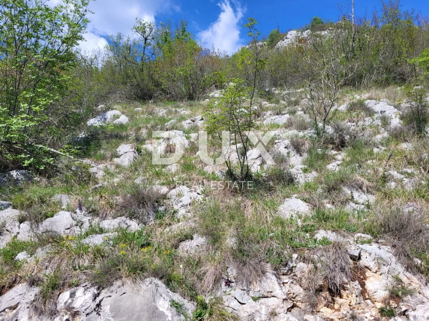 ISTRA, BUZET - Poljoprivredno zemljište
