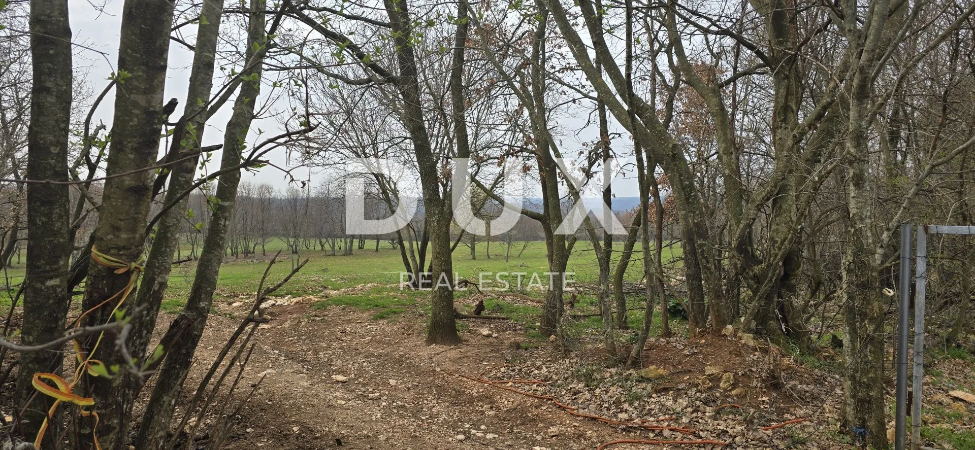 istra, labin - idilična livada - slika 3