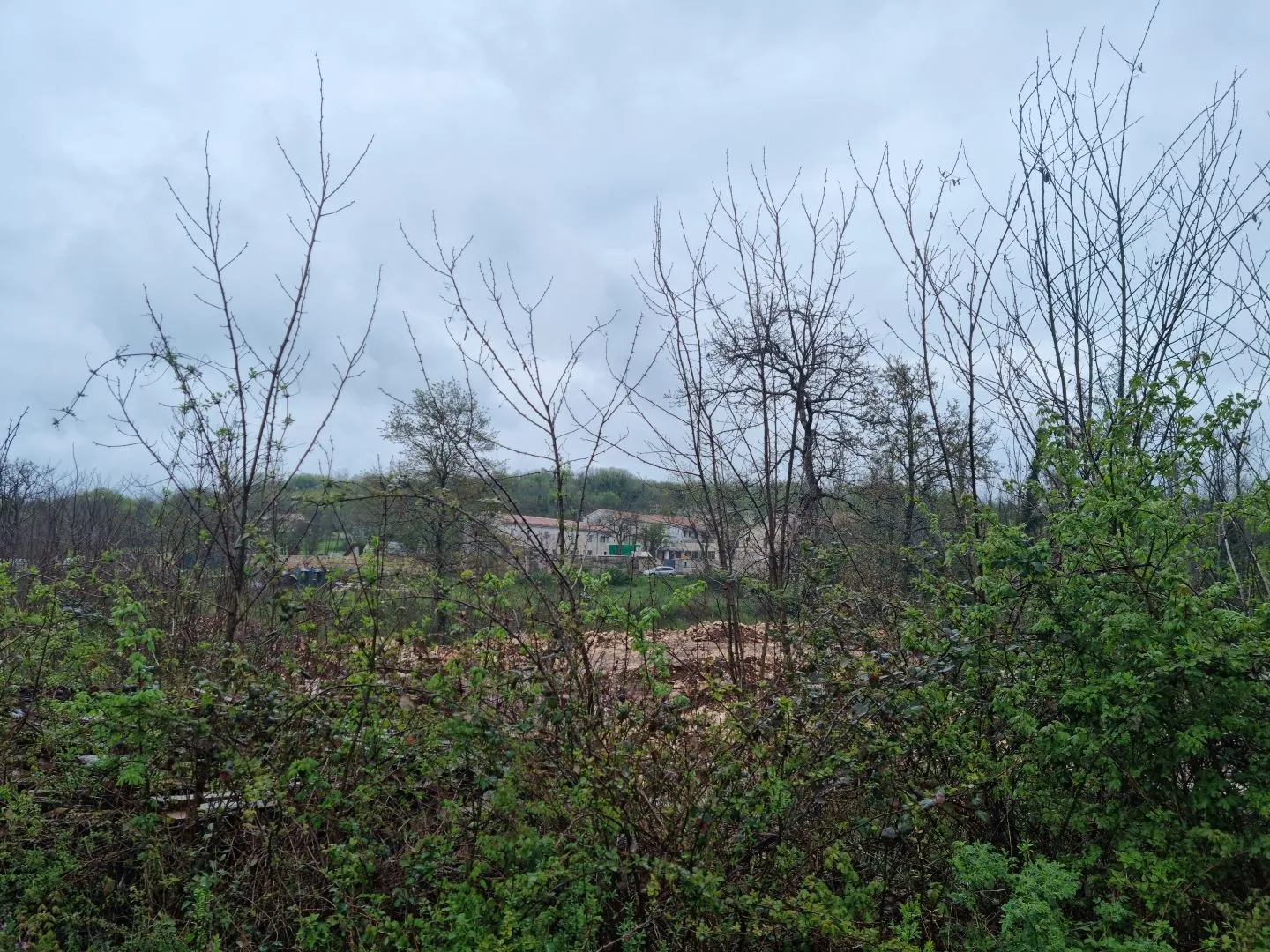 istra, tinjan - poljoprivredno zemljište na prodaju! - slika 5