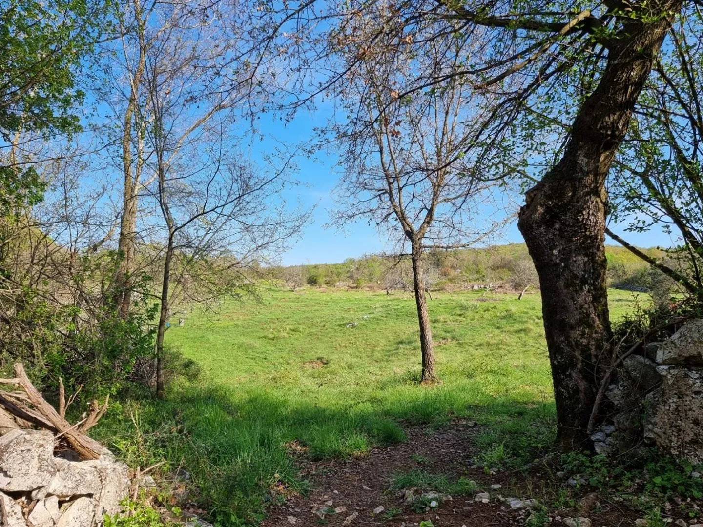 istra, rabac - prostrano imanje na očaravajućoj lokaciji - slika 27