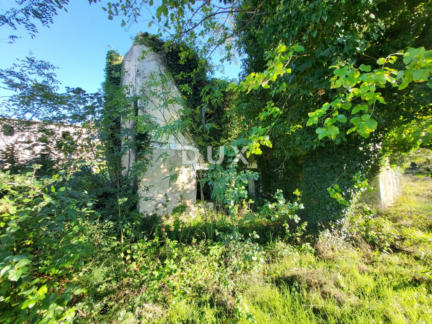 istra, boljun - kamena starina na mirnoj lokaciji - slika 4