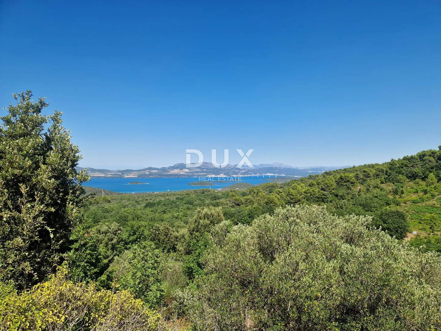 pelješac, popova luka, poljoprivredno zemljište 190.000m² - slika 14