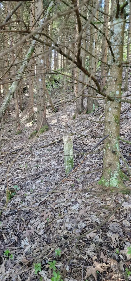 delnice, ravna gora - zemljišta ukupne površine 13400 m2 - slika 7
