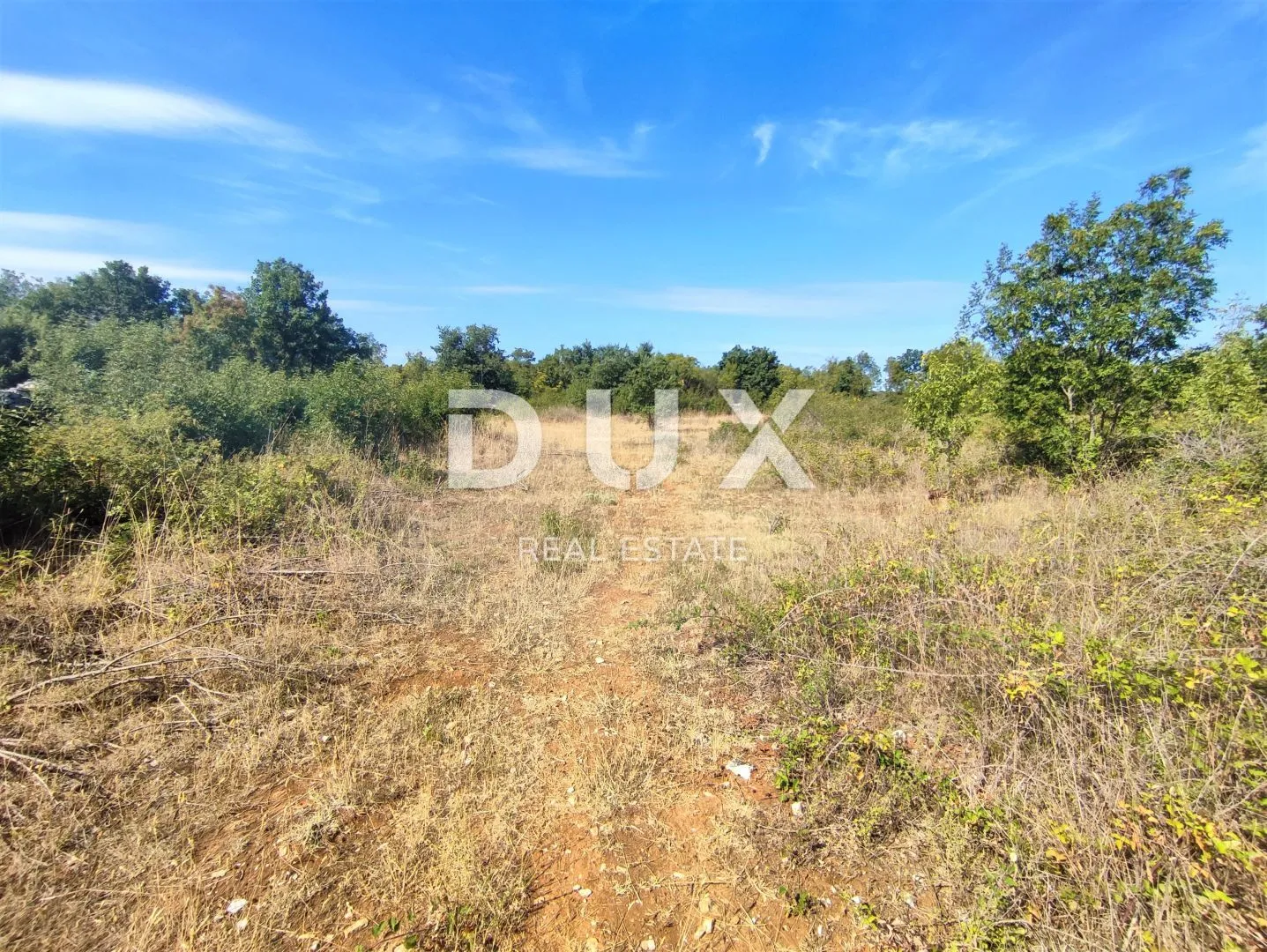 istra, salvela - prostrano zemljište 7379 m2! - slika 2