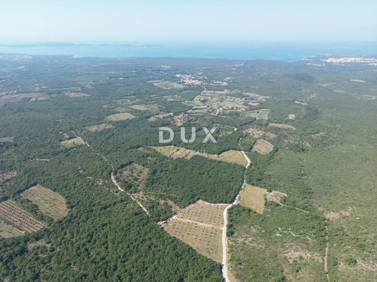 istra, vodnjan - autentičan maslinik s dušom - slika 7
