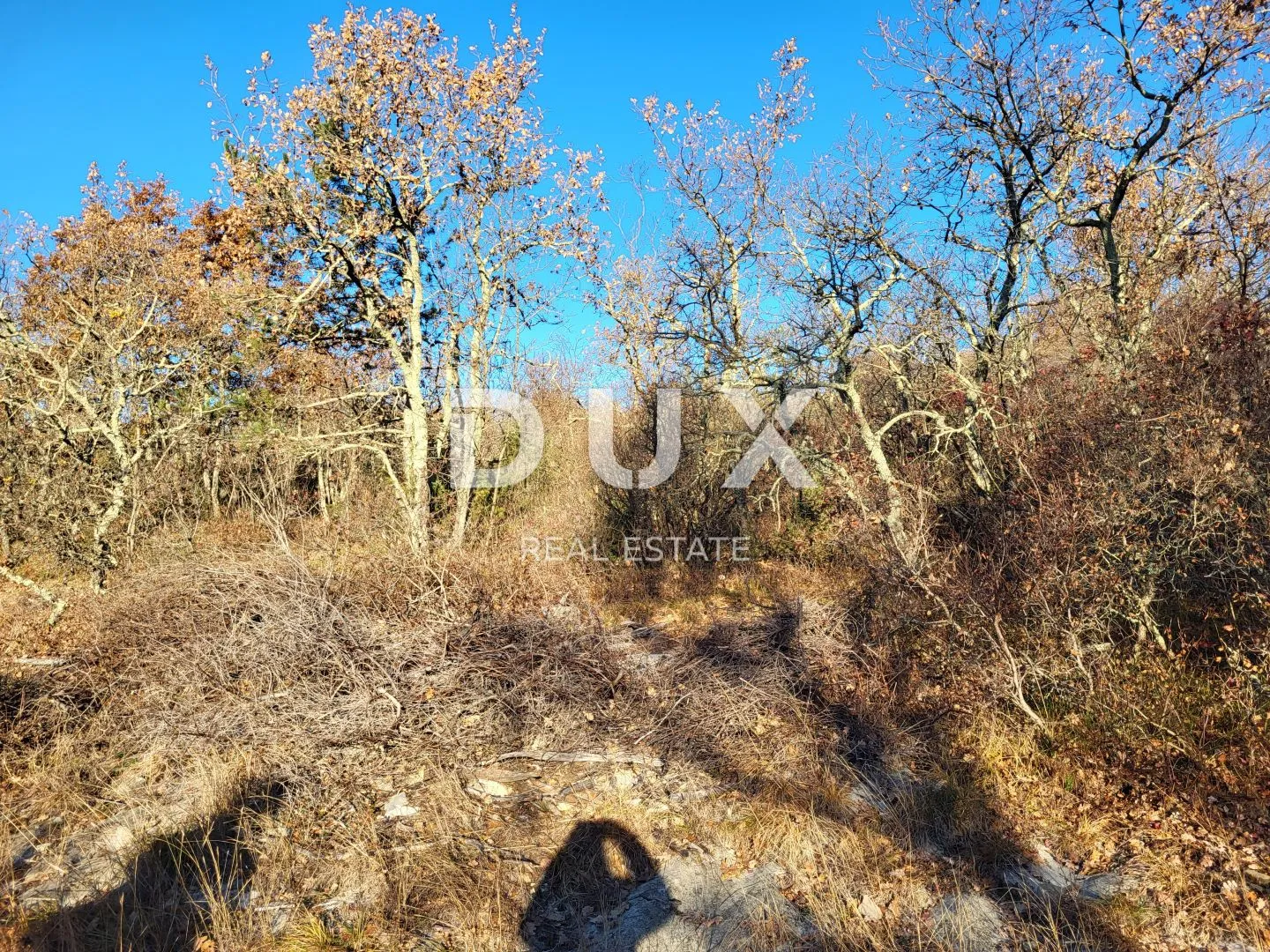 istra, buzet - poljoprivredno zemljište 3012 m2 - slika 2