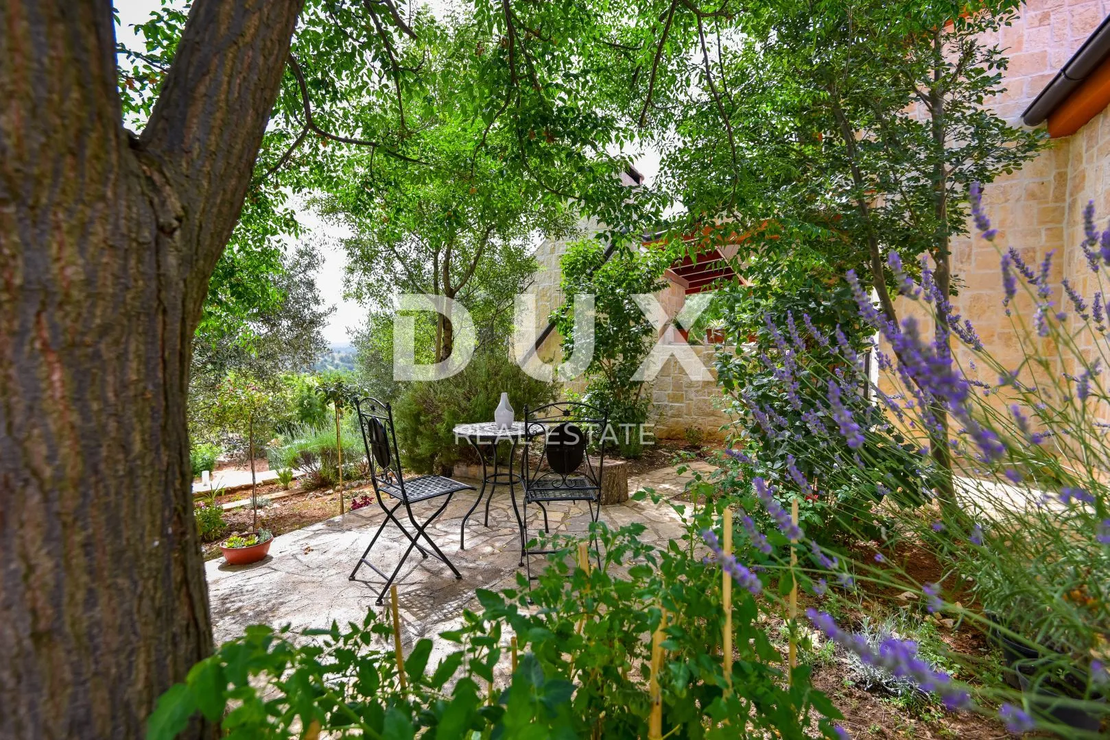 novigrad, pridraga - kamena vila na jedinstvenoj lokaciji - slika 4