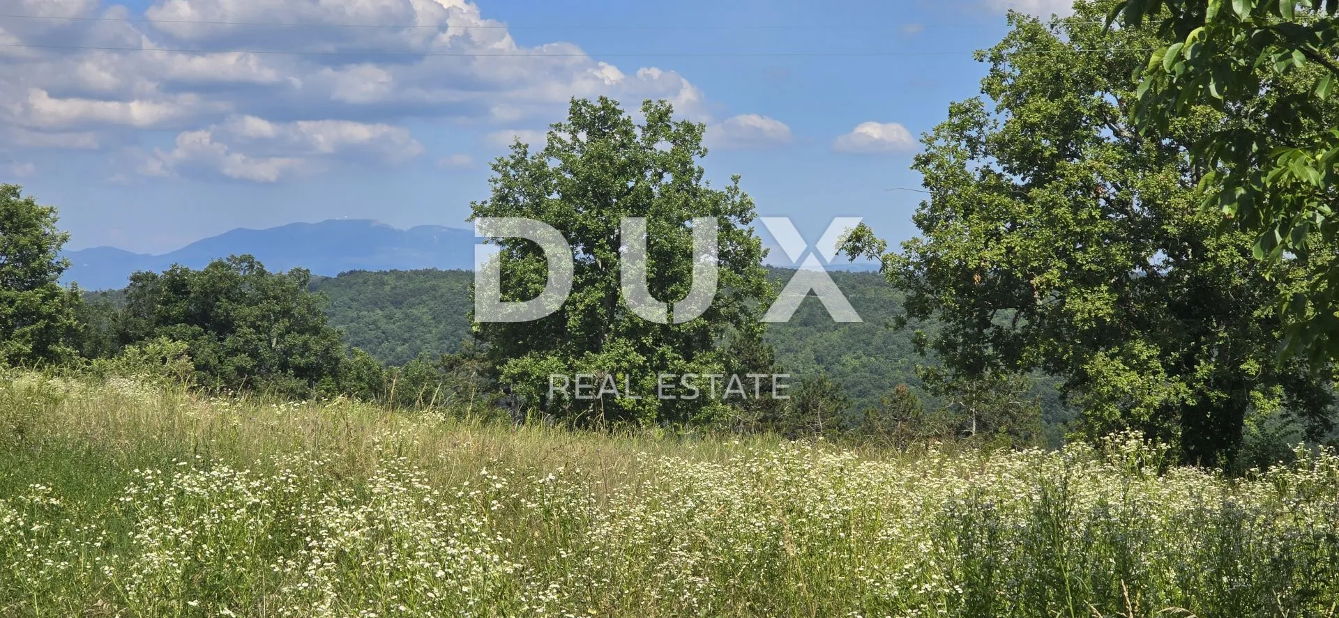 istra, tinjan - građevinsko zemljište od 1398 m2 - slika 10