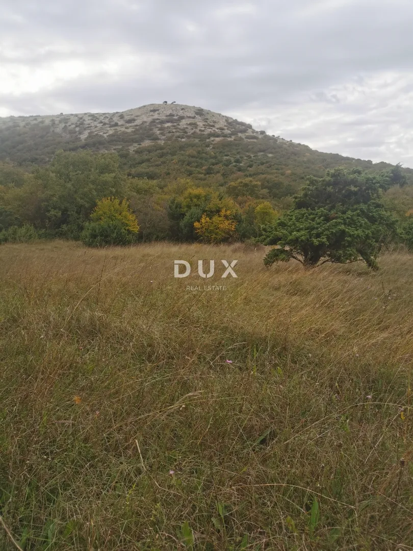 otok krk, punat - poljoprivredno zemljište - slika 4