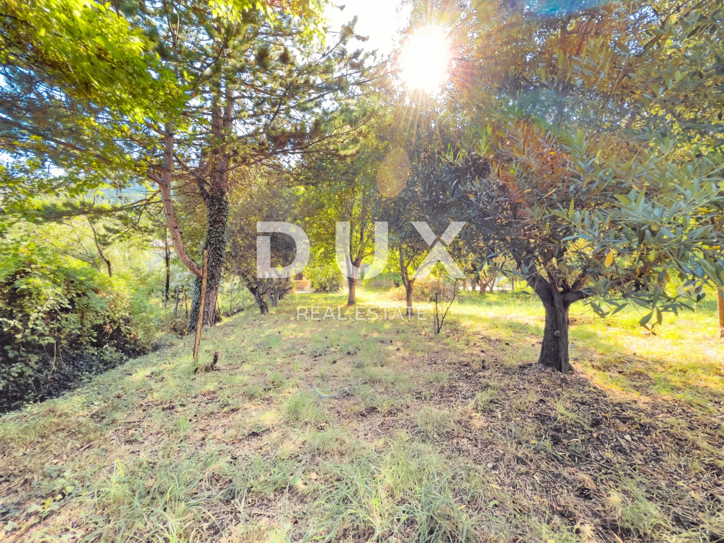 otok krk, baška (okolica) - kamena kuća s velikom okućnicom - slika 38