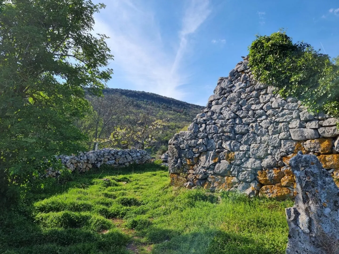istra, rabac - prostrano imanje na očaravajućoj lokaciji - slika 14